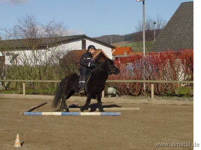 T�lt-Geschicklichkeit - dynamisch Versand