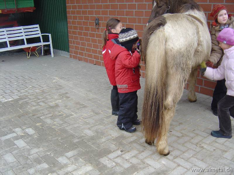 Bild 050