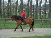  Gesa in der Reitvorschule