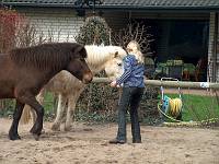  Nele mit Skuggi und Stjarna 
auf dem Reitplatz