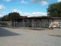  Die neuen Paddocks und Auenboxen